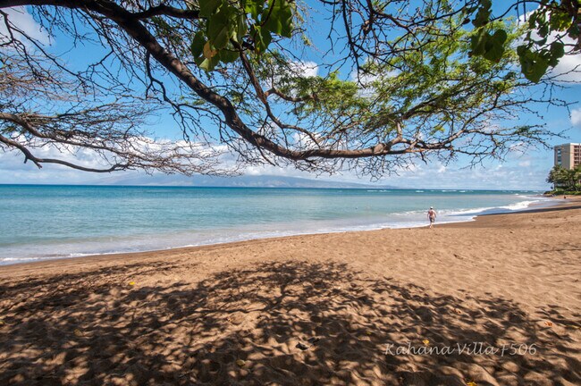 Beach across the street - 4242 Lower Honoapiilani Rd