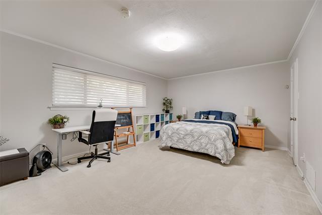 Building Photo - 3825 Echo Brook Ln