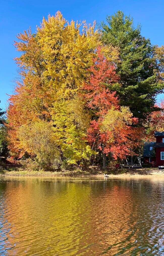 Building Photo - 19 Mirror Lake Dr