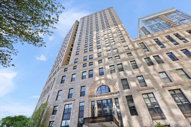 Building Photo - 850 N Lake Shore Dr