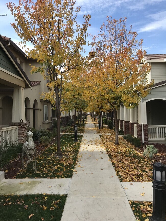 Building Photo - Two story home in Mountain House!