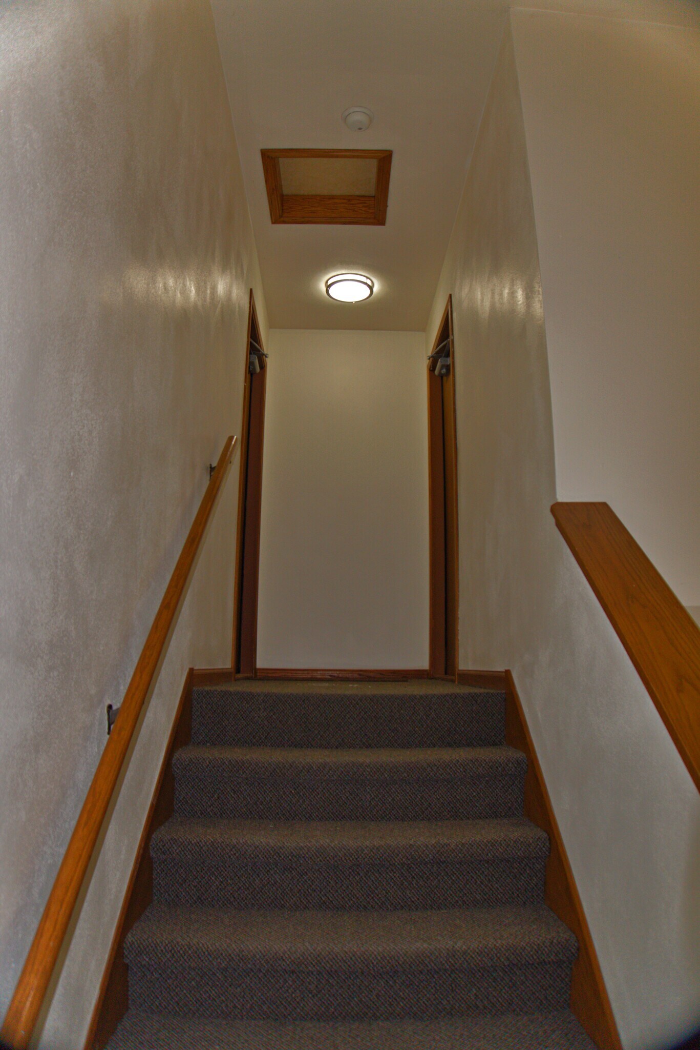 Building Photo - 2934 Cimarron Trl