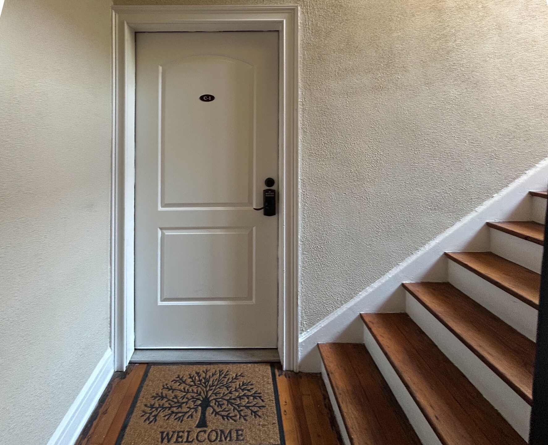 Front doorway - 2117 W Dekle Ave