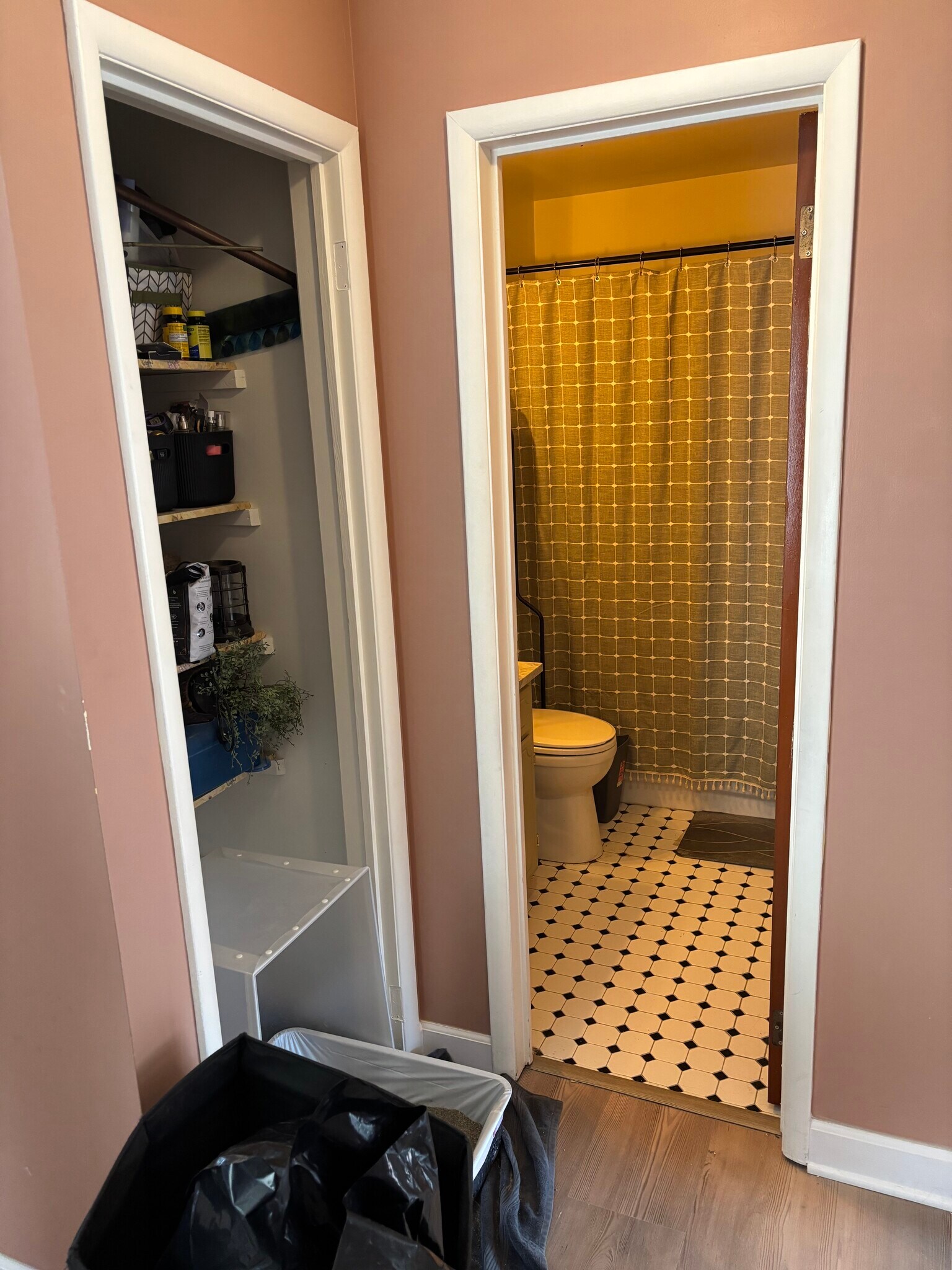 Storage closet and bathroom - 701 Ferndale Ct