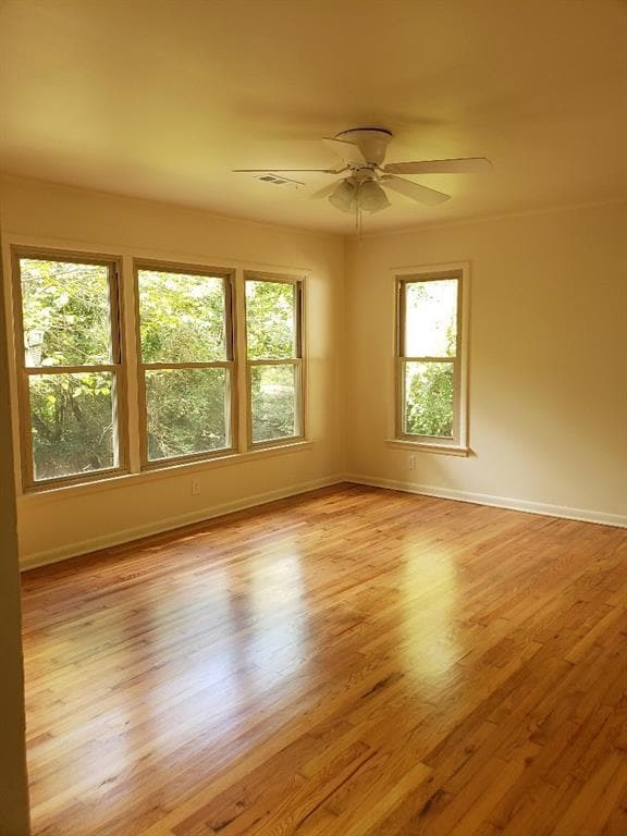 Building Photo - 911 E Rodgers Dr