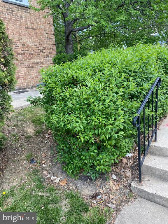 Building Photo - 9717 Whiskey Run