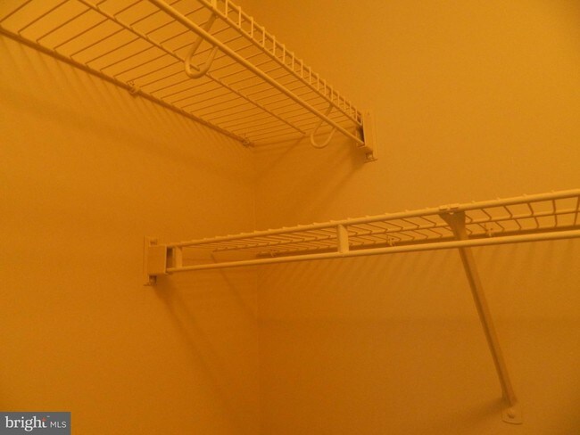 Building Photo - 6026 Anne Marie Terrace