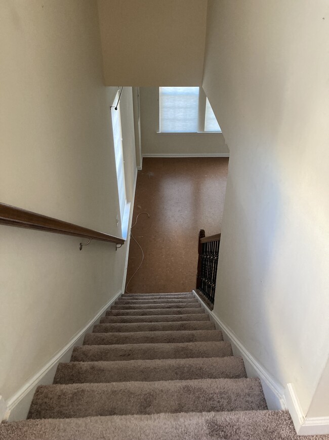 Going Downstairs! - 8 Lamplighter Ln
