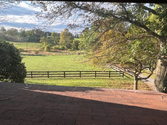Cabin, View from Front Porch - 38472 Nixon Rd