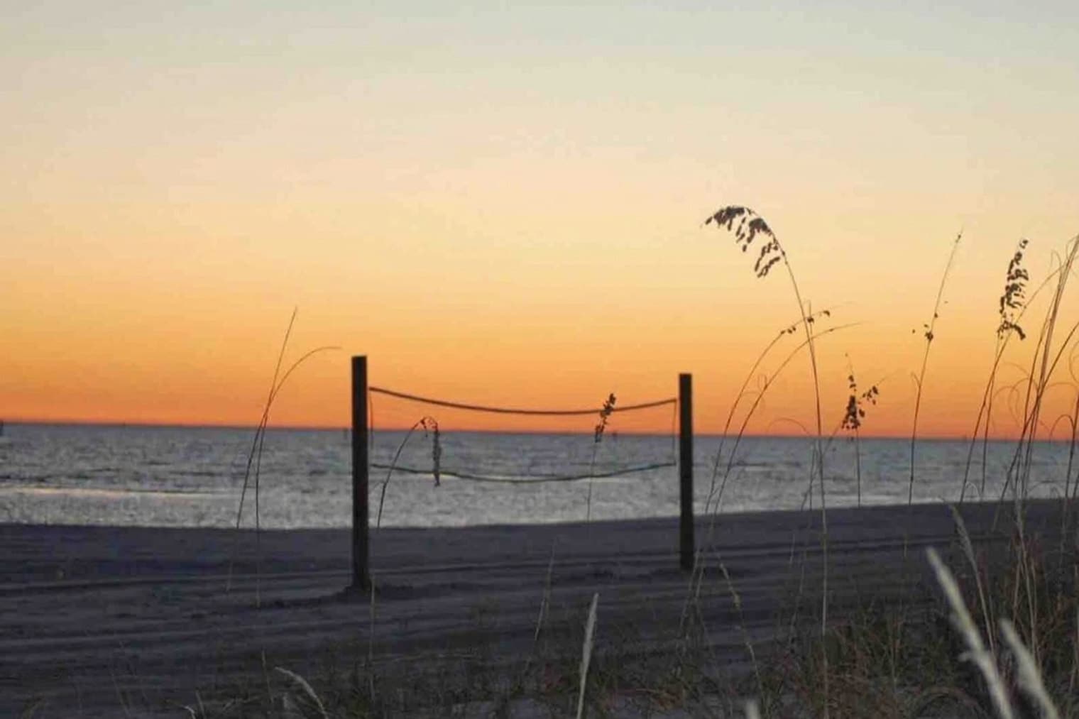 Building Photo - 139 Brady Dr