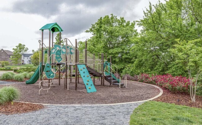 one of several playgrounds - 47 Bowman Ct