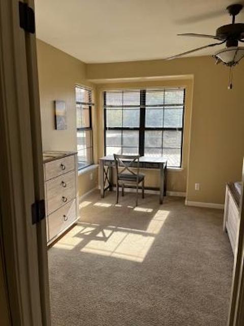 Building Photo - 6651 N Campbell Ave