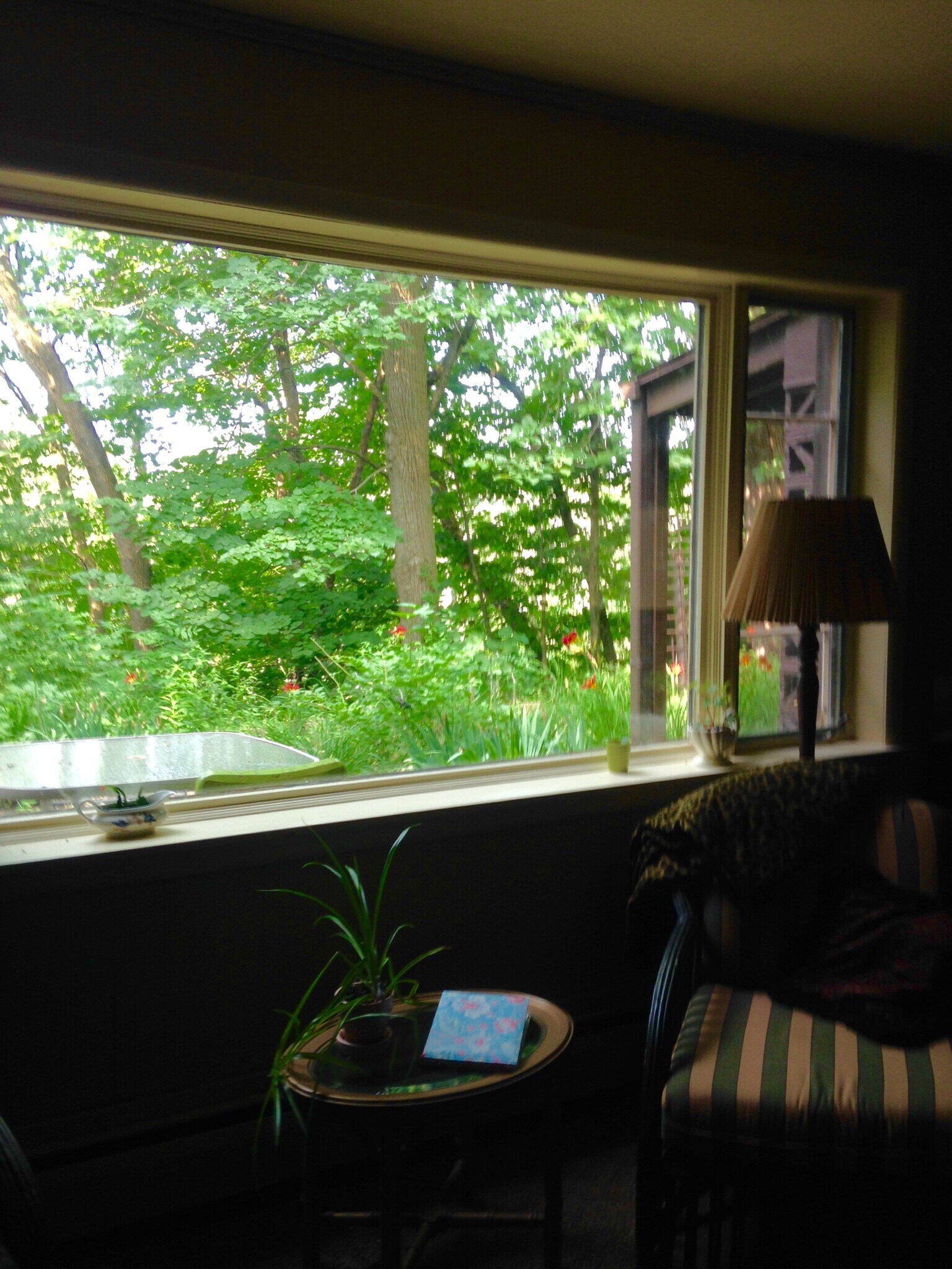 Large window overlooking the woods - 5309 N River Rd