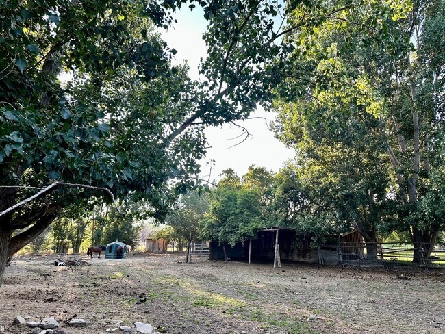 Pasture - 4239 E 400 N