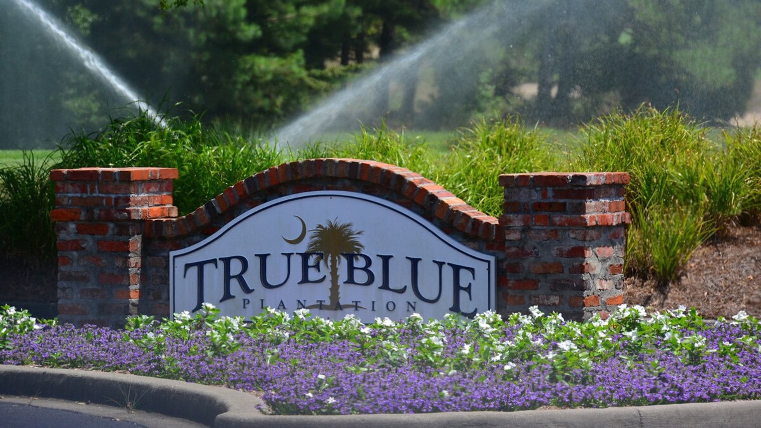 Building Photo - 562 Blue Stem Dr