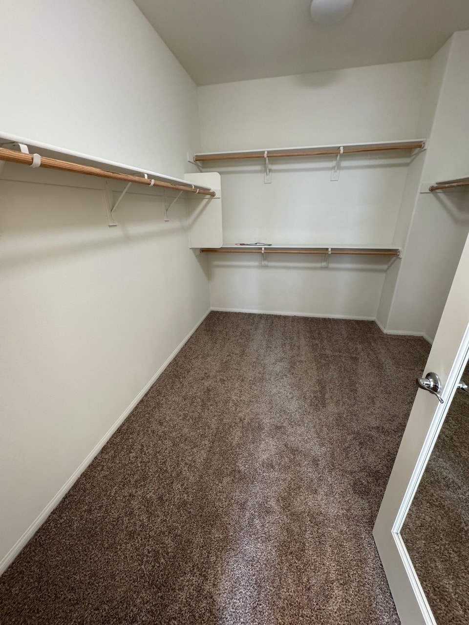 Building Photo - 523 Pioneer St