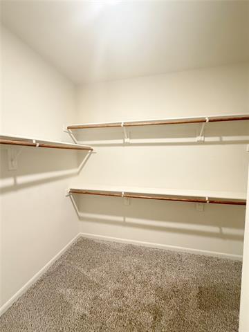 Building Photo - 209 Aceves Ct