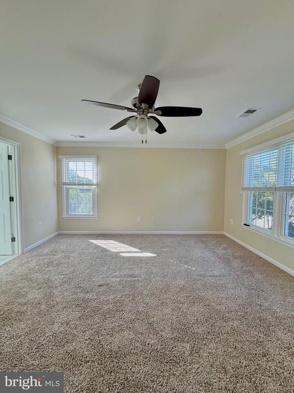 Building Photo - 12102 Snow Shoe Ct
