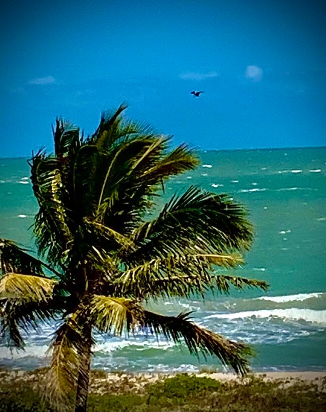 Building Photo - 3200 N Hwy A1A