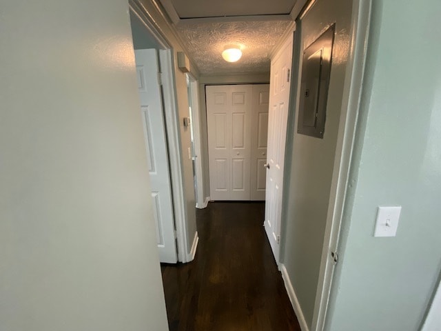 Hall - 2940 Begonia Rd