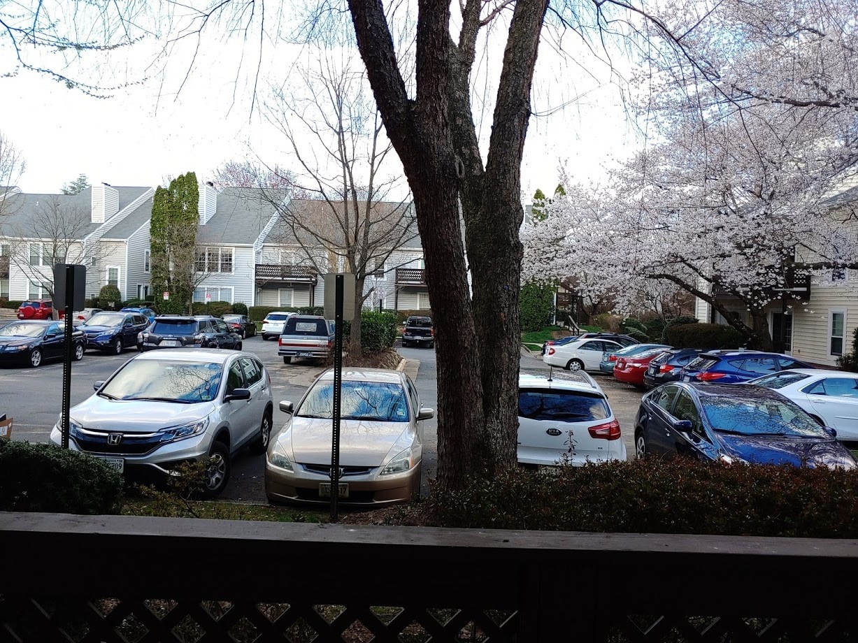 2 Car Parking - 10129 Oakton Terrace Rd