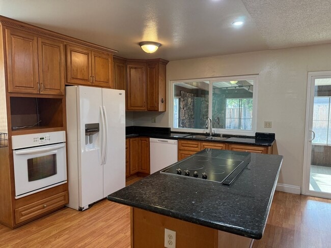 Building Photo - 4 bedroom Blossom Valley Home