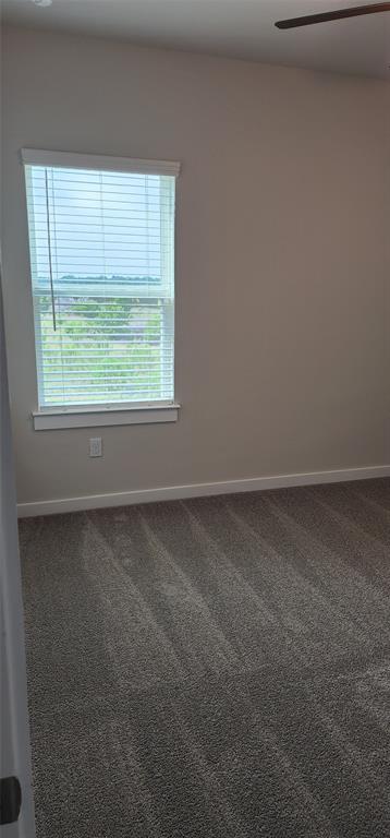 Building Photo - 2345 Moon Tower Trl