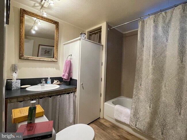 Building Photo - 59 Angel Kiss Ln