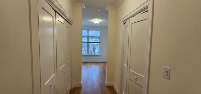 Building Photo - Chestnut Hill Luxury 1-Bed 1-Bath Apartment