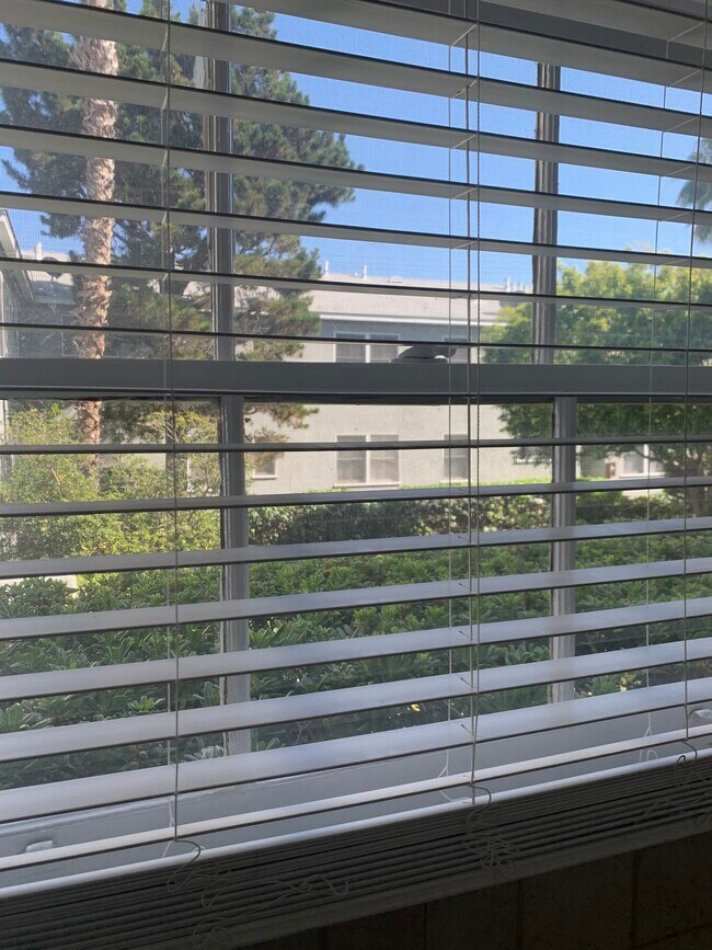 Kitchen Window - 1250 Franklin St