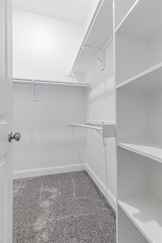 Building Photo - 422 Oleander Dr