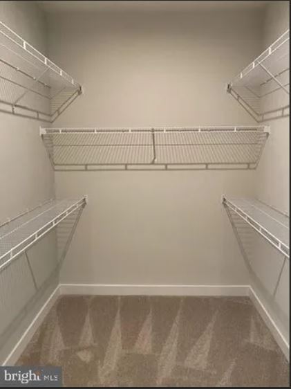 Walk-In Closet - 1018 Rosecroft Ln