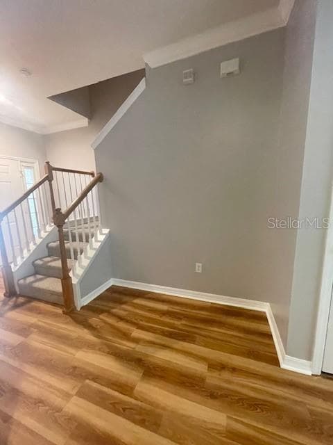 Building Photo - 8153 Stone Leaf Ln