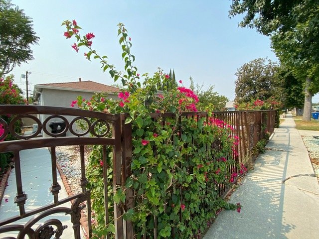 Building Photo - 6657 Enfield Ave