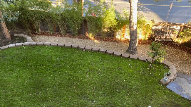 Backyard - 55 Hamilton Pl