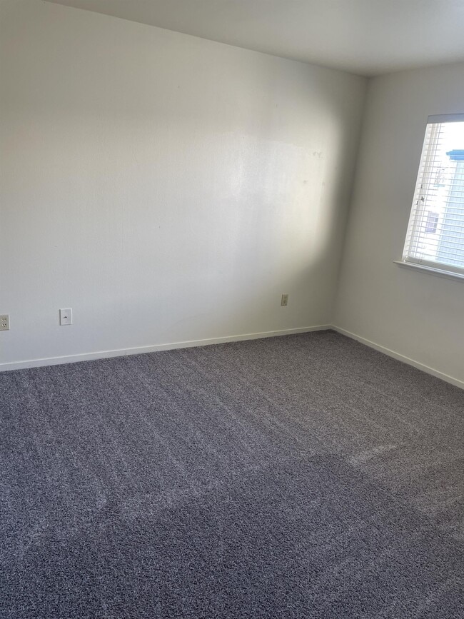 Building Photo - 2667 Sycamore Glen Dr