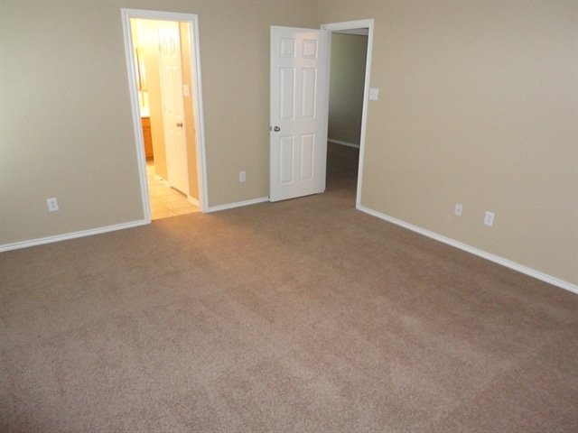 Building Photo - 313 Flowering Plum Ln