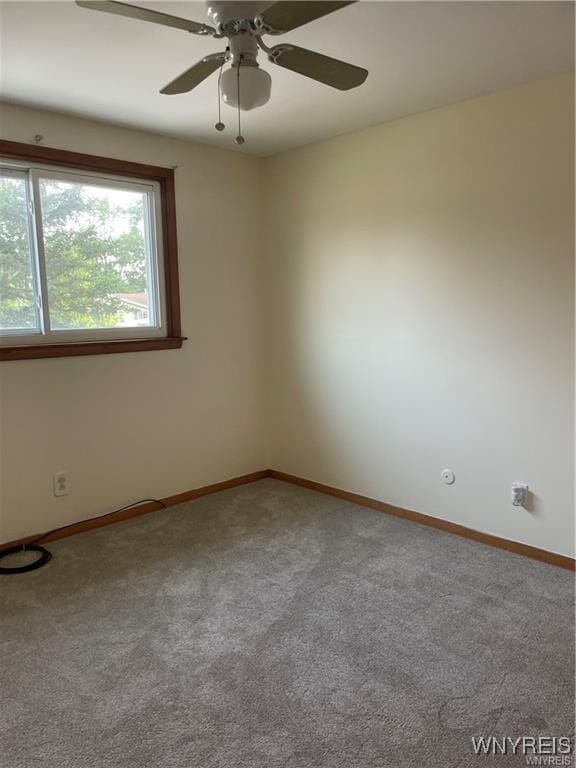 Building Photo - 35 Tomcyn Dr