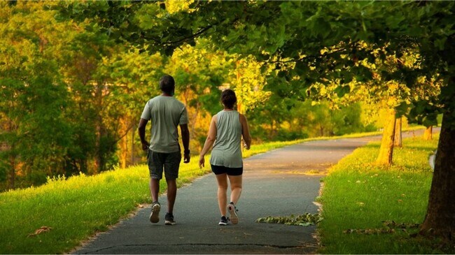 Building Photo - 516 Light Oak Wy