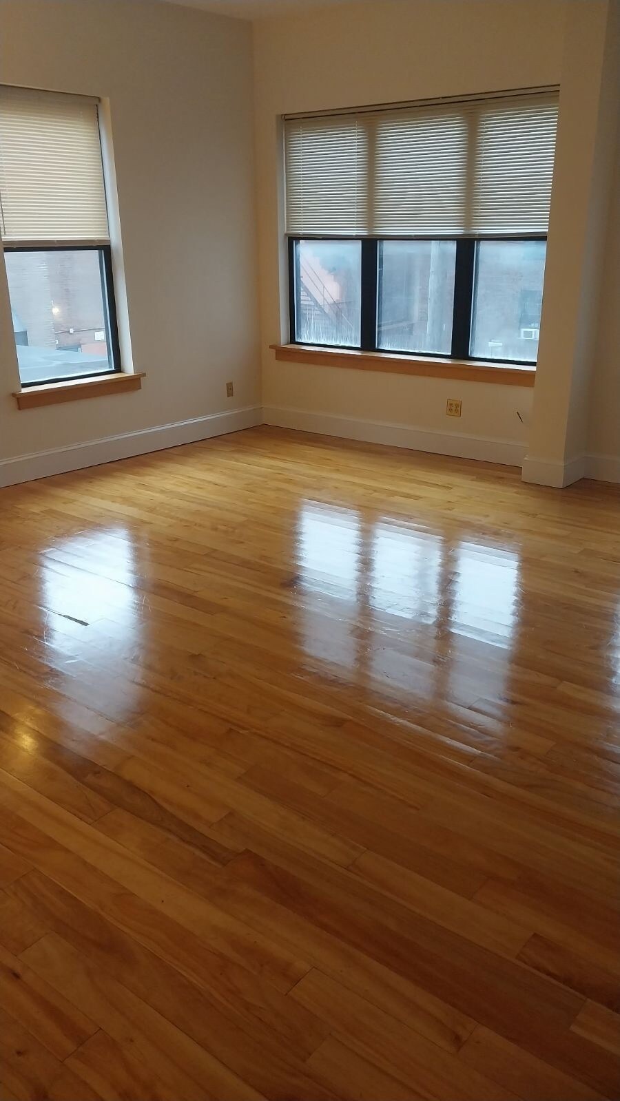 Building Photo - 135 Main St