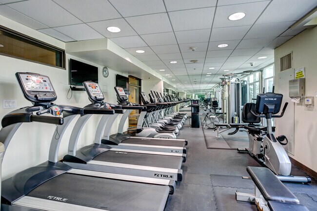 GYM - 425 W Beech St