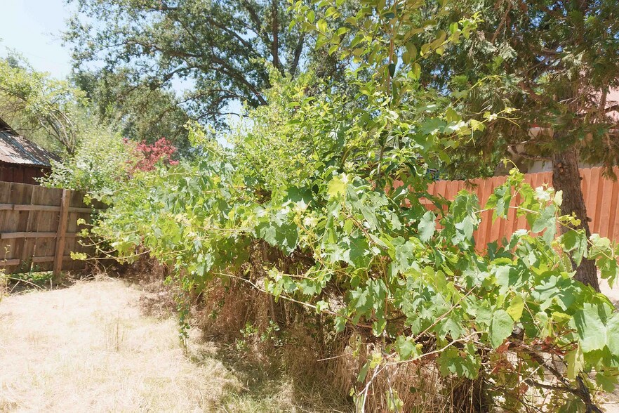 Building Photo - 172 Pixley Ave