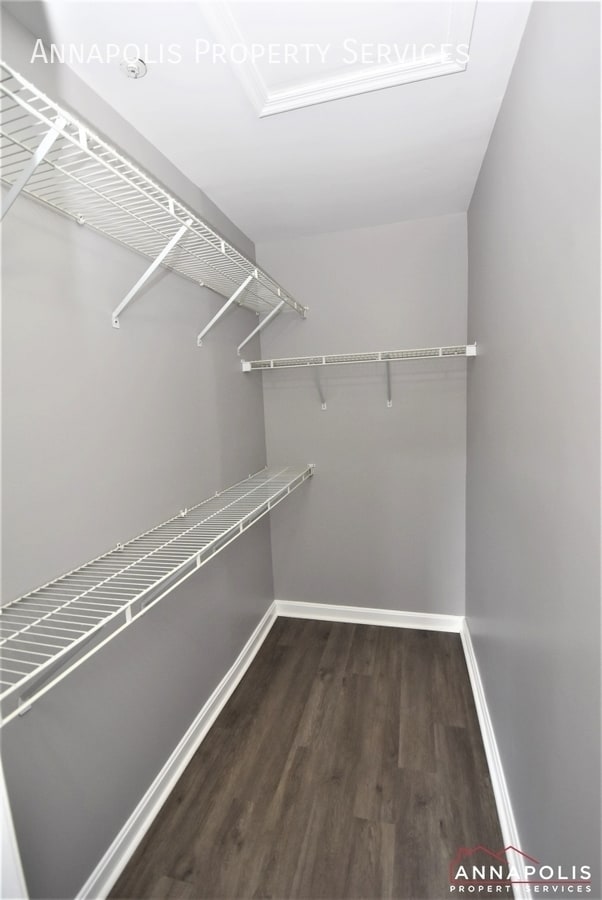 Building Photo - 109 Pinecove Ct