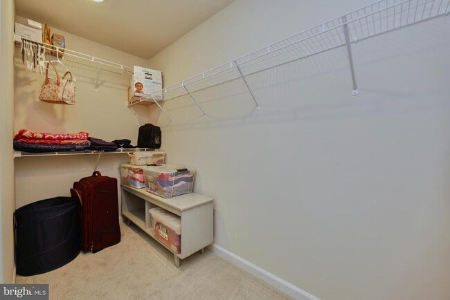 Building Photo - 1006 Shenandoah View Pkwy