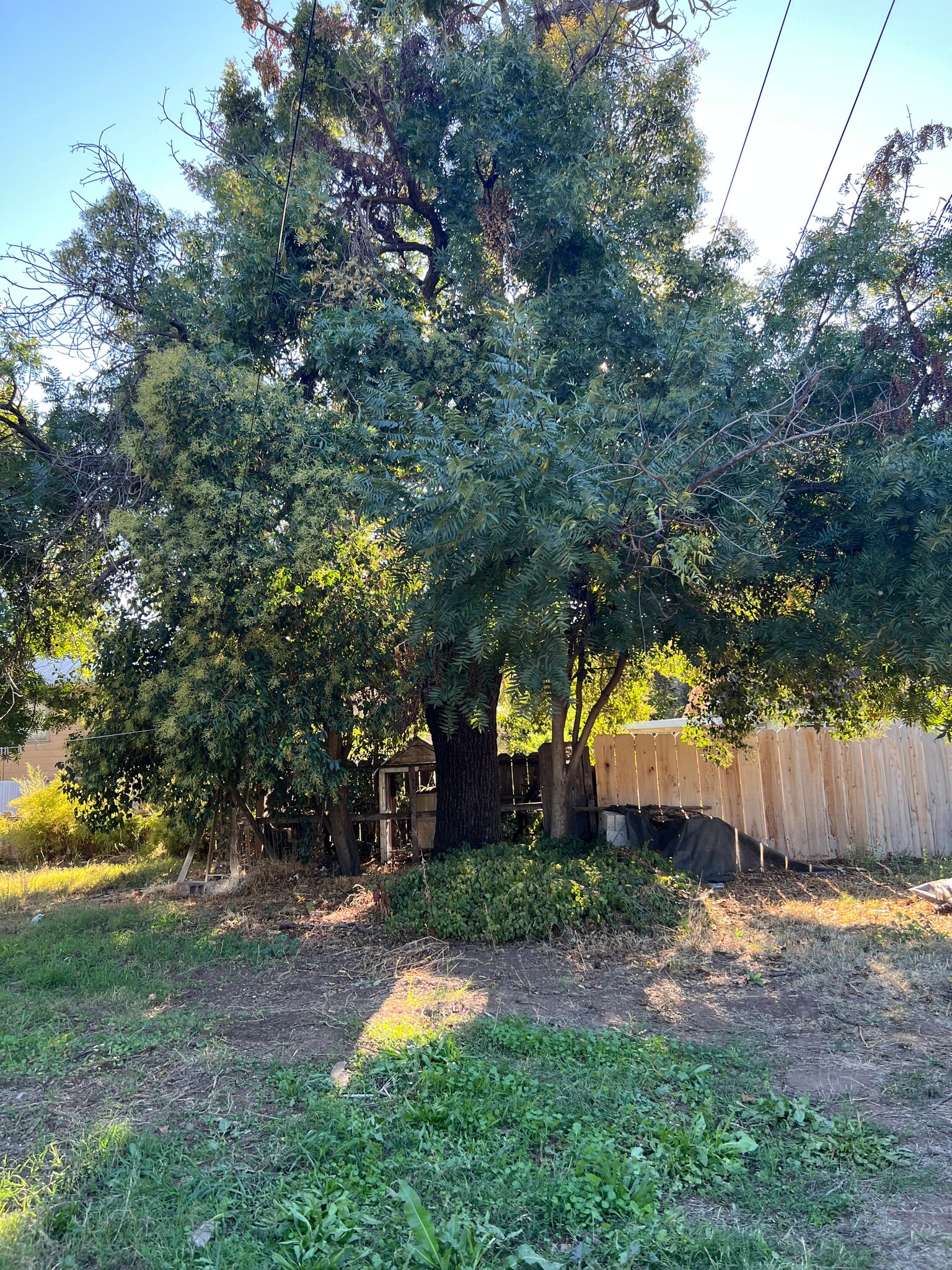 Country life - 11638 Andrews St