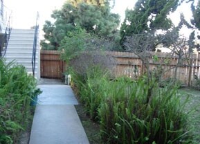 Building Photo - Gracia Apartments