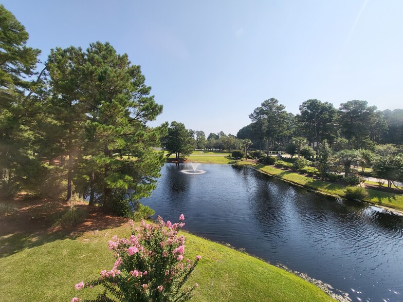 Pond/fountain view from lanai - 4910 Windsor Green Way