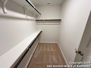 Building Photo - 6518 Hoffman Pln