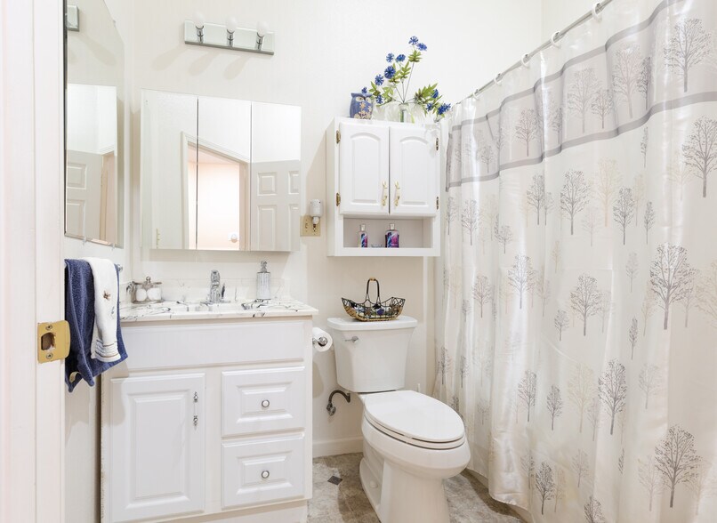 Hall bathroom - 197 Yolla Bolly Trl