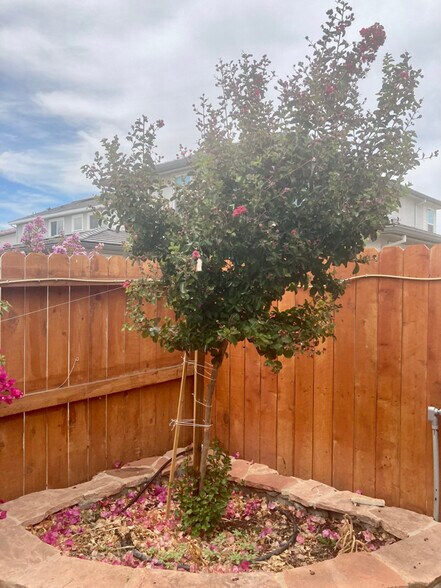 Building Photo - 3213 Showcase Way